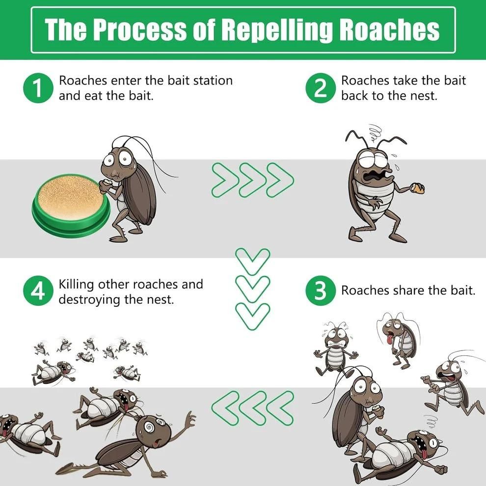 Cockroach Killer Gel (BUY 1 GET 1 FREE) 🔥